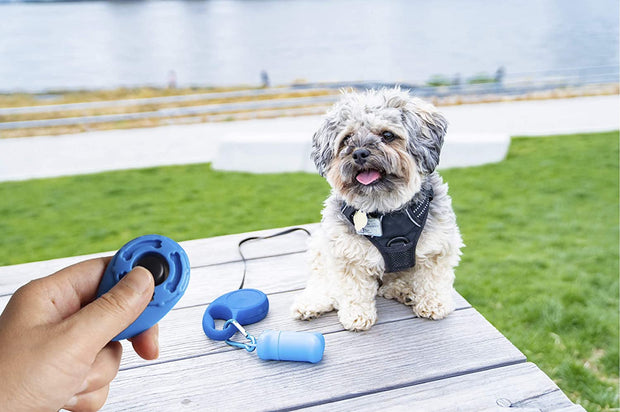 "Ultimate Training Bundle: Leash Treat Holder and Clickers with Wrist Straps - Convenient, Portable, and Stylish (White/Pink)"