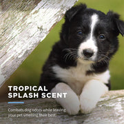 "Delicate Clean Puppy Wipes: Soothing and Refreshing Grooming Wipes with Oatmeal and Tropical Splash Scent - Perfect for Your Precious Pup! (30 Ct Pouch)"