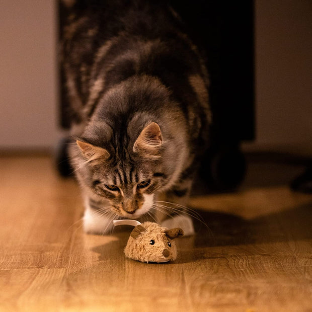 "Entertain and Engage Your Indoor Cat with Interactive Cat Toys for Fun Exercise and Realistic Mouse Sounds!"