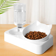 "Stylish Non-Slip Double Pet Bowl with Stand - Perfect for Cats and Dogs - Keep Your Pets Fed and Hydrated!"